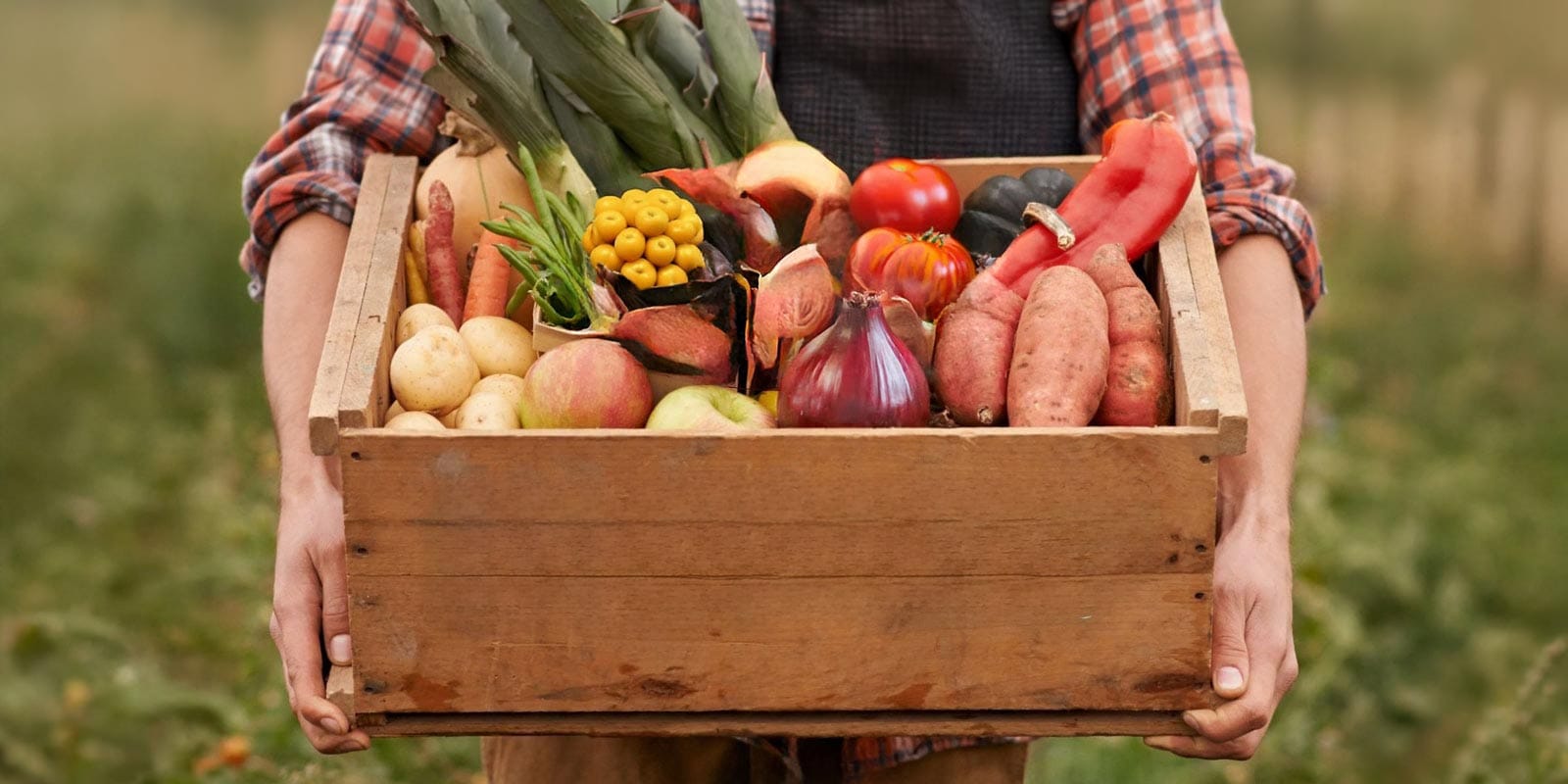 Farmer holding box of fresh vegetables