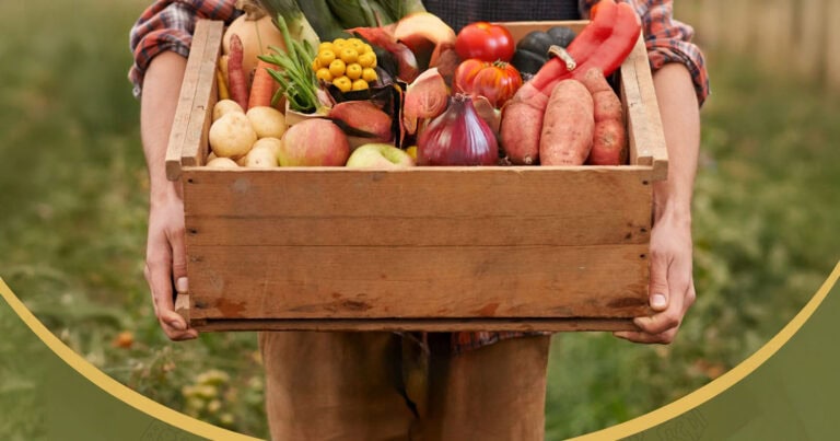 Farmer holding box of vegetables